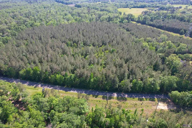 $300,000 | 63 Clinton La, Clinton, LA 70722