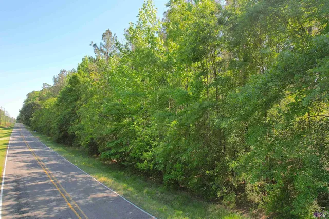 $300,000 | 63 Clinton La, Clinton, LA 70722