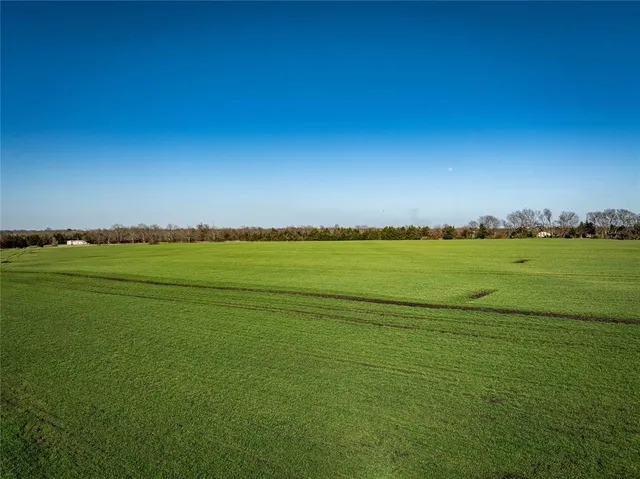 a view of a field with an ocean