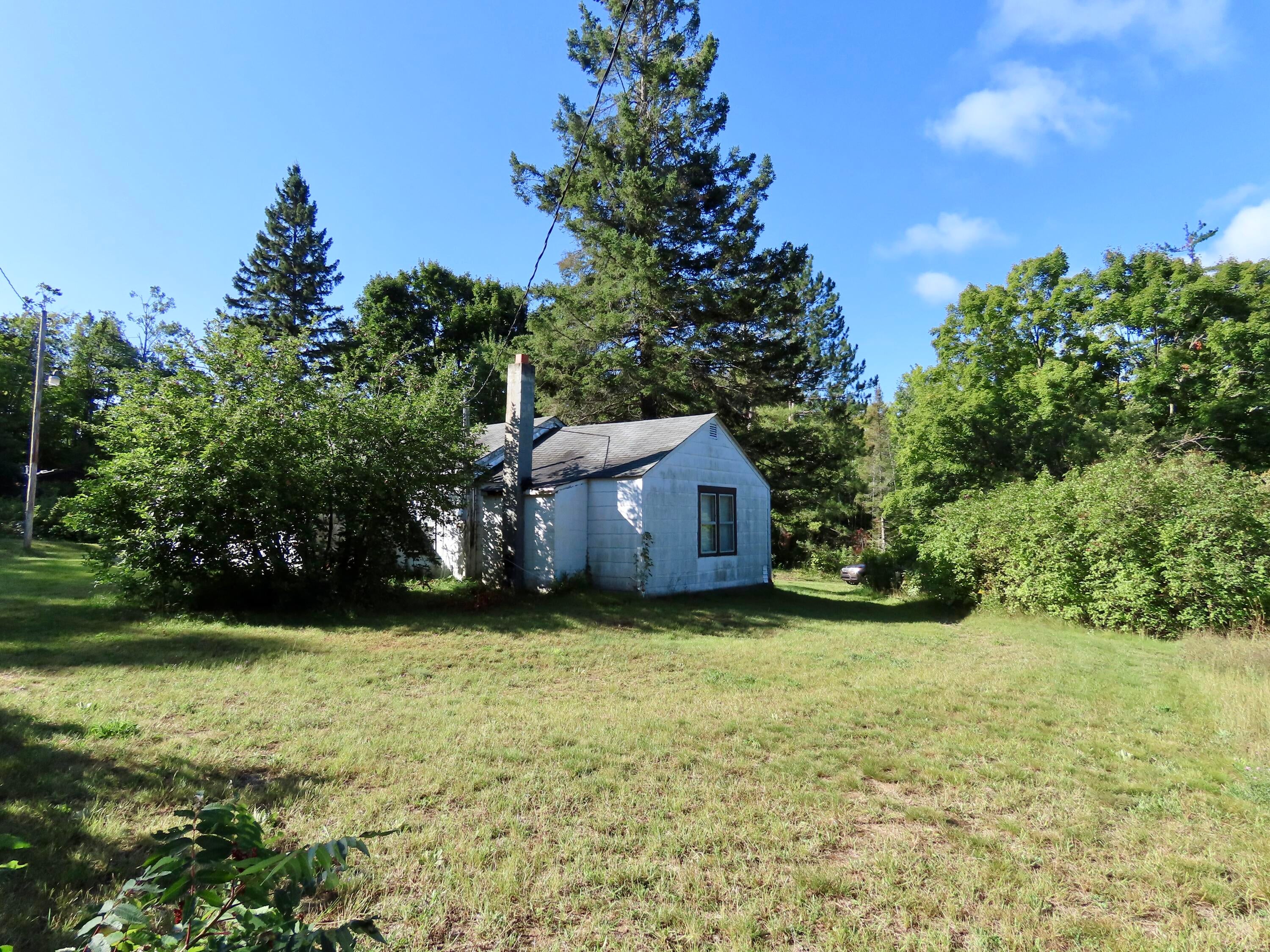 17620 Dobbyn Road Atlanta, MI 49709 - Photo 7 of 48 Large yard