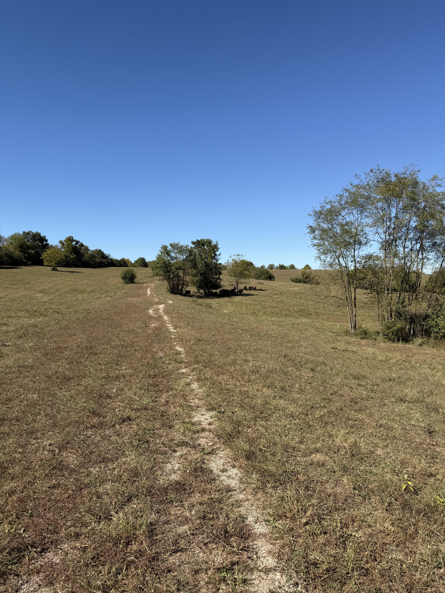 209 Rowland Cut-Off Road Stanford, KY 40484 - Photo 16 of 20 209row2
