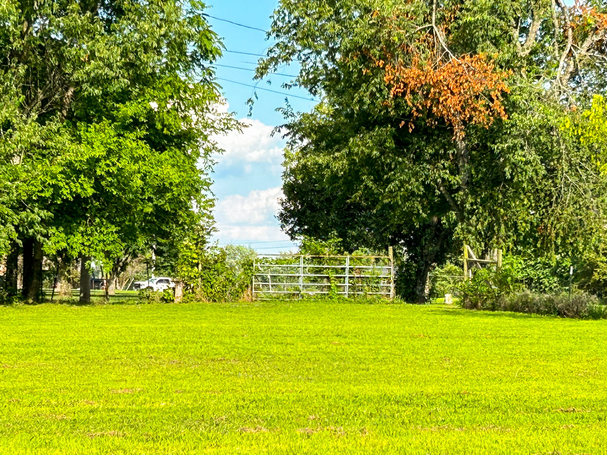 340 Blue Door Road Portland, TN 37148 - Photo 33 of 33