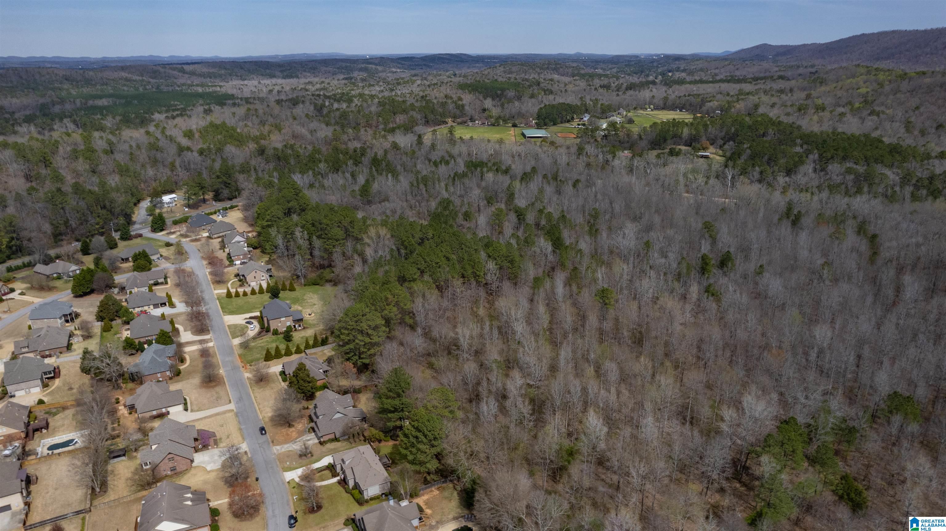 1037 Millstone Road Leeds, AL 35094 - Photo 55 of 60