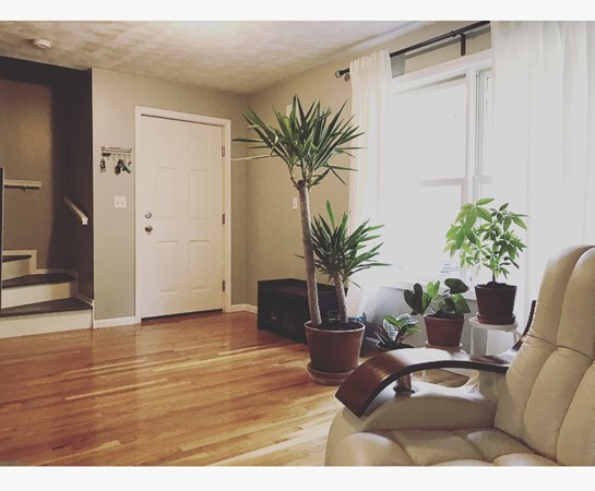 315 Ridge Road, Unit A Revere, MA 02151 - Photo 4 of 19