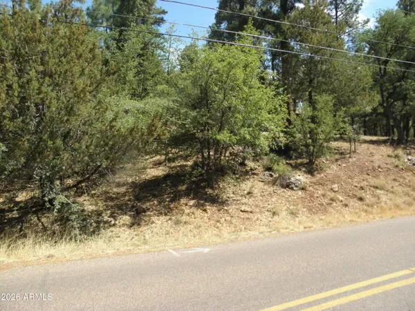 a view of a yard with plants and trees