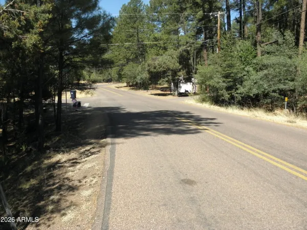 a view of a yard with trees