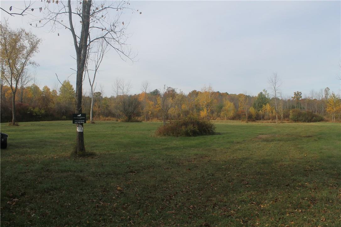 Newry Road Greenville, NY 12083 - Photo 4 of 16 a view of a park