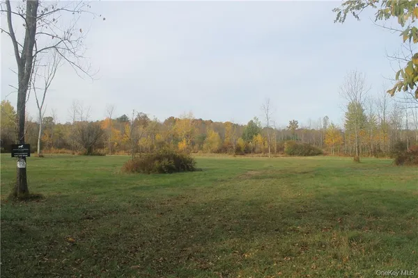 a view of a field with trees in background
