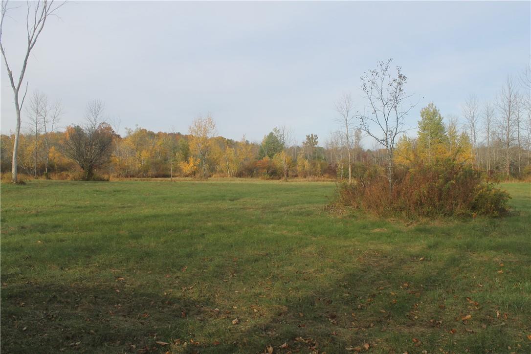 Newry Road Greenville, NY 12083 - Photo 6 of 16 a view of a field with trees in background
