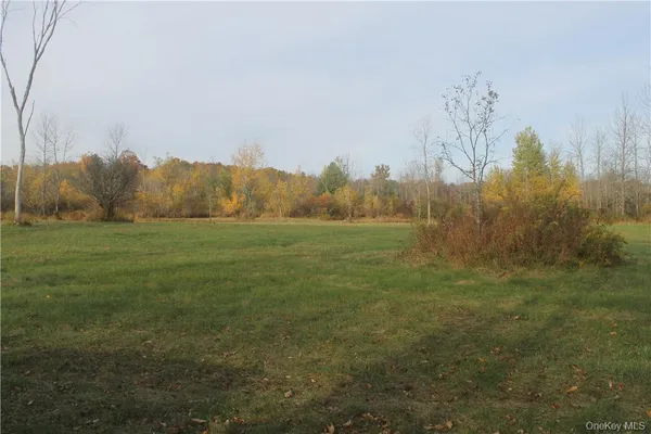 a view of a lake with a yard