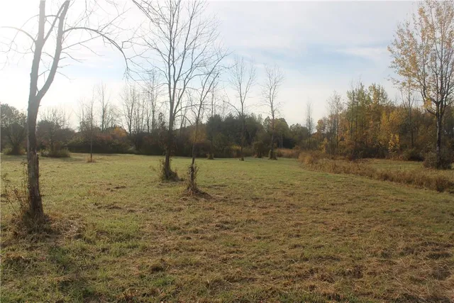 a view of an outdoor space and a yard