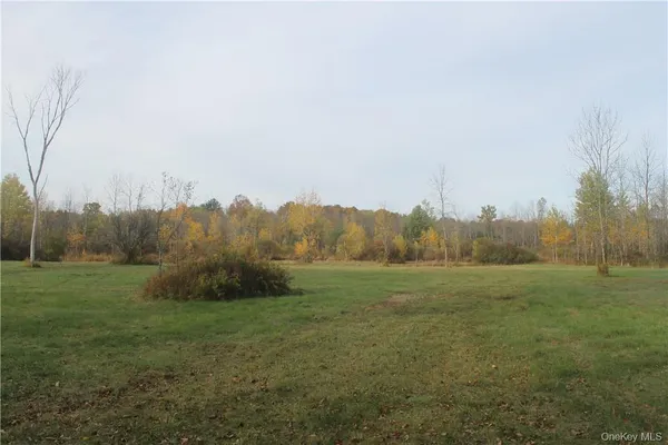 a view of a green field with trees in the background