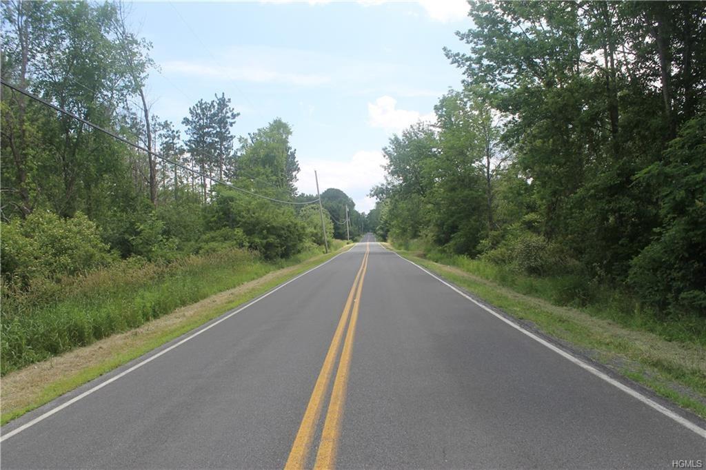 Newry Road Greenville, NY 12083 - Photo 9 of 16 a view of a green field with trees in the background