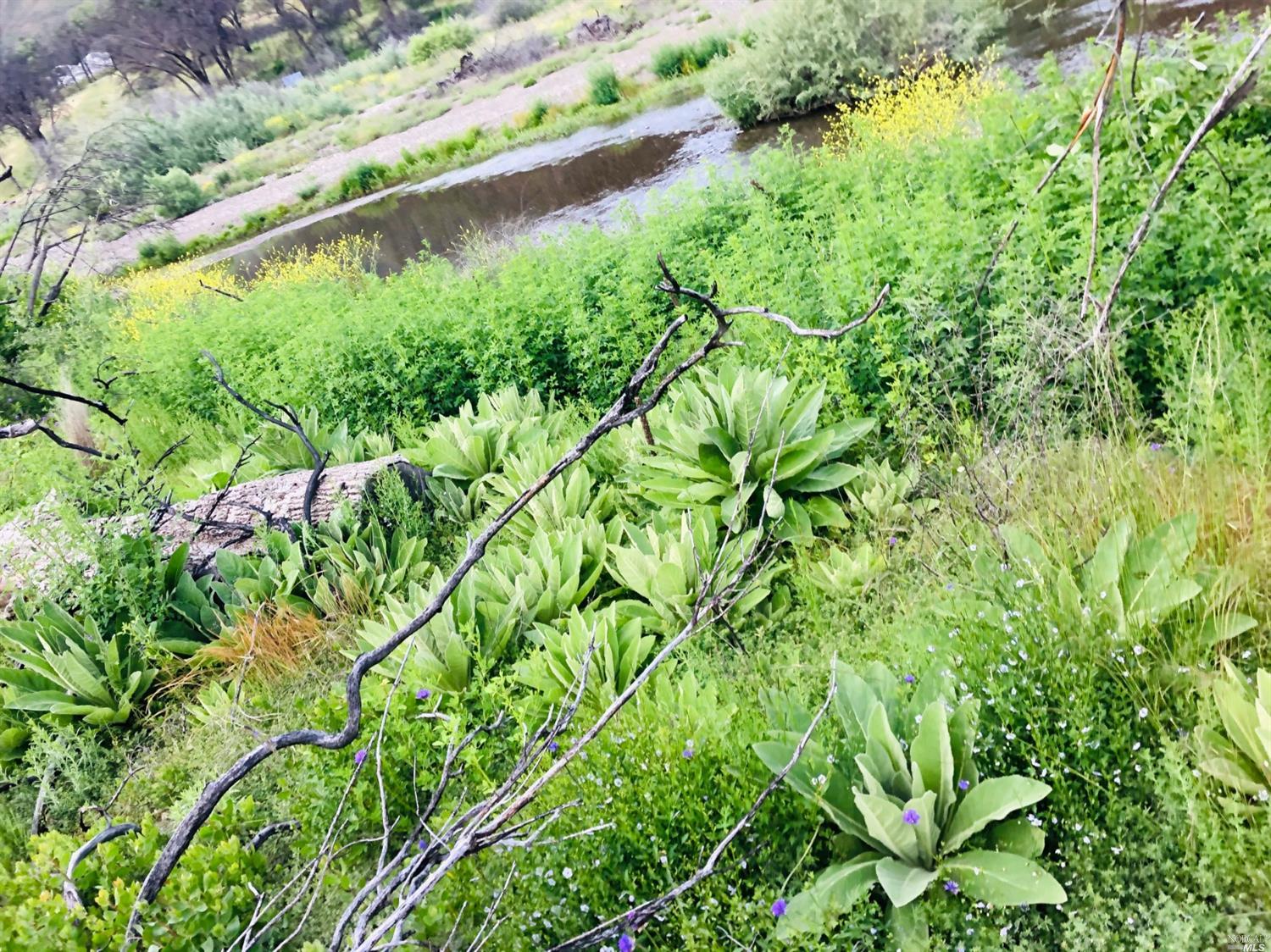 0 14503rd Road Upper Lake, CA 95485 - Photo 1 of 1 Gallery Image 1