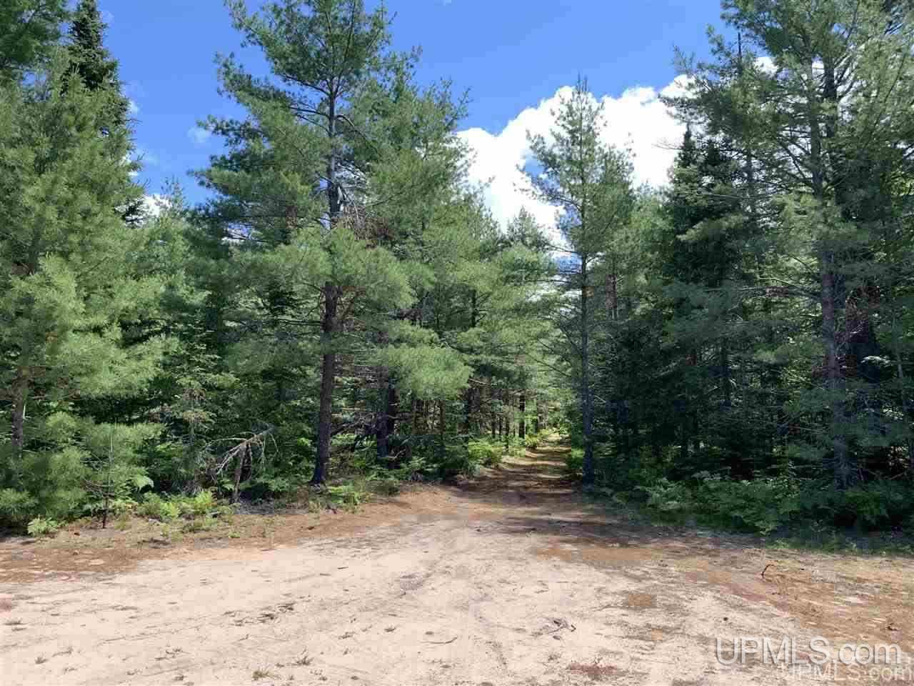 N17601 Co Road Grand Marais, MI 49839 - Photo 14 of 38