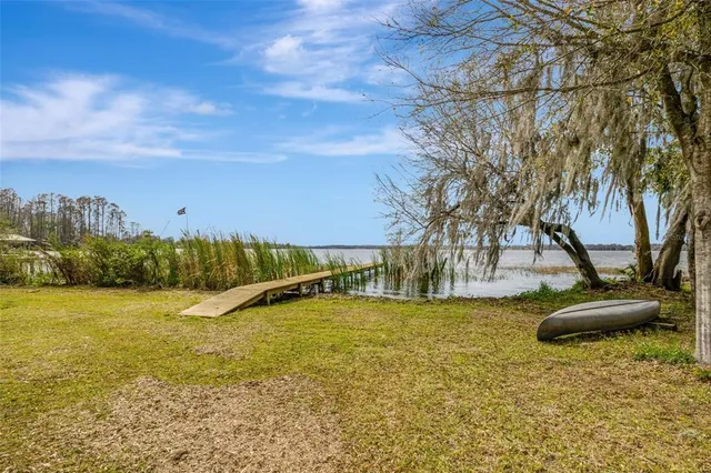 a view of a yard with a tree