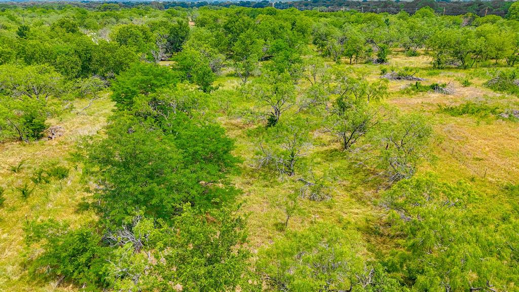 Lot 123 Palmito Ranch Road Corsicana, TX 75110 - Photo 20 of 23 a view of a big yard of a house