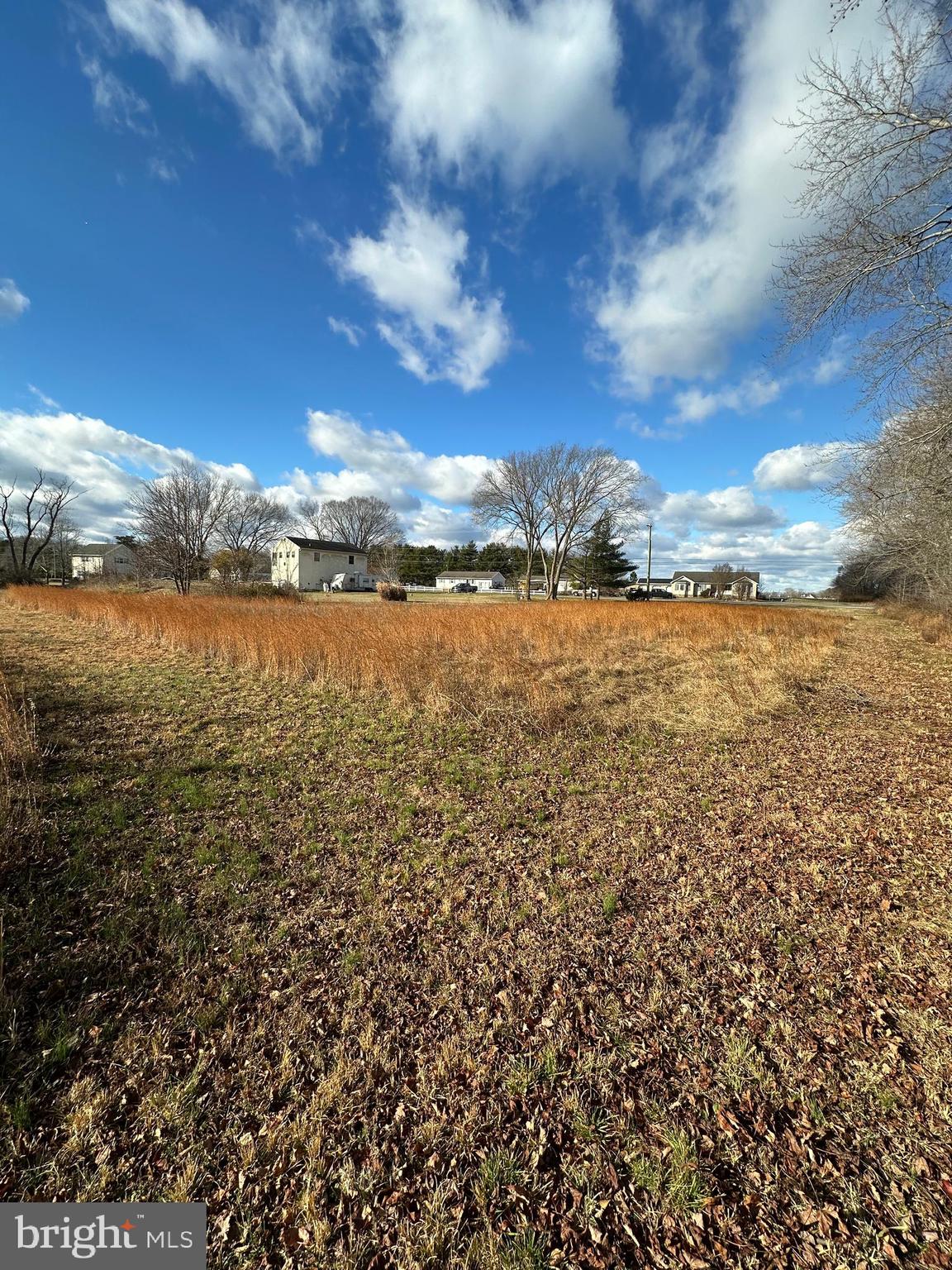36373 Roxana Road Selbyville, DE 19975 - Photo 10 of 13 Gallery Image 10