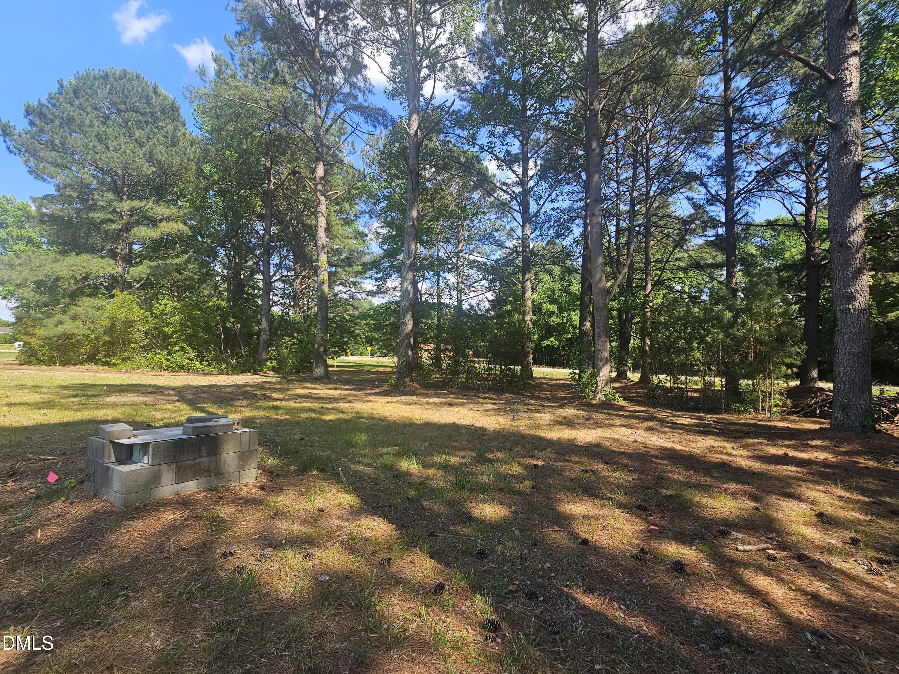 1261 Whitley Road Middlesex, NC 27557 - Photo 2 of 7 a view of a yard with a large trees