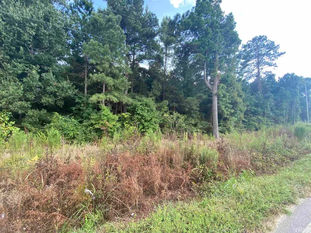 a view of a lush green forest
