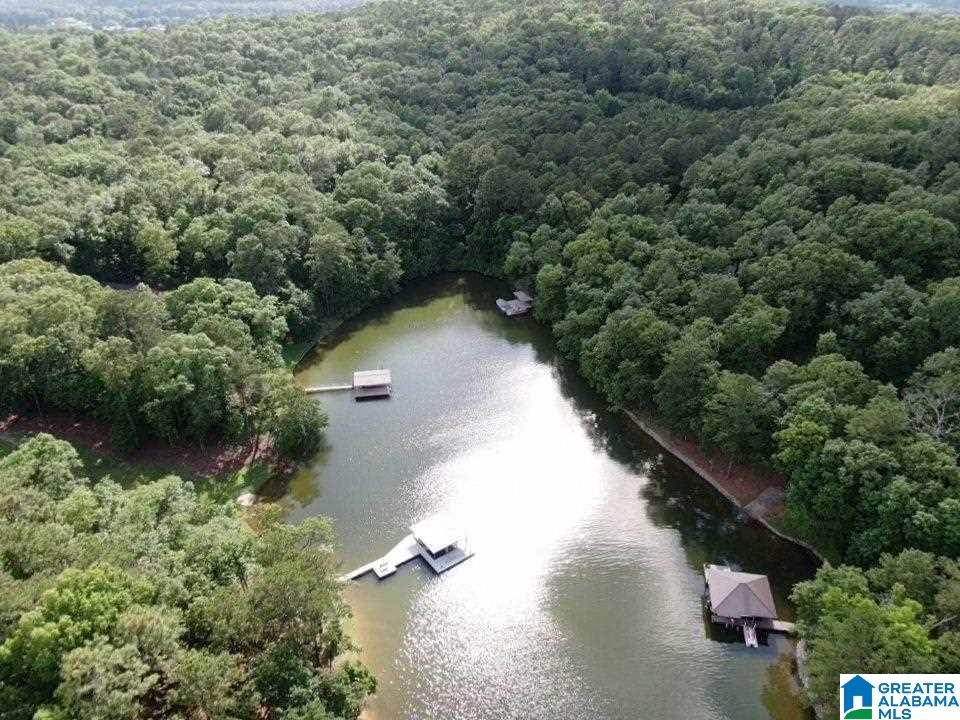 620 Black Acres Road Cropwell, AL 35054 - Photo 4 of 44