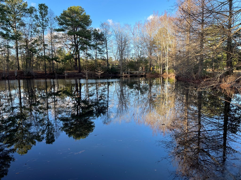 1370 Bachelor Hill Road Walterboro, SC 29488 - Photo 2 of 13 Gallery Image 2