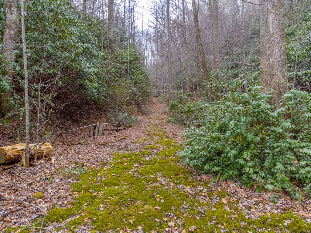 1107 Panther Creek Road Almond, NC 28702 - Photo 44 of 52