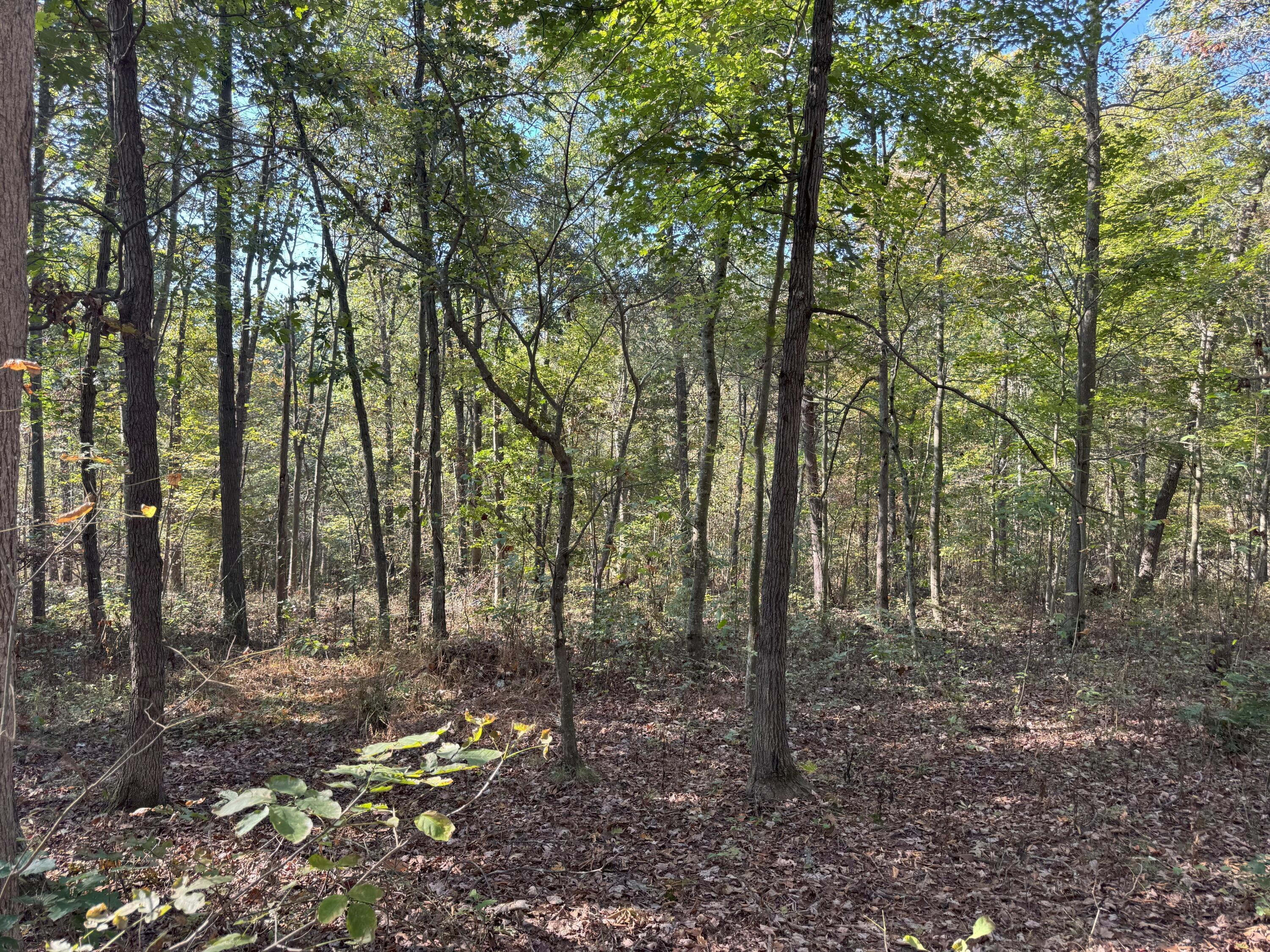 0 McKinney Road Piketon, OH 45661 - Photo 22 of 27 IMG_8926