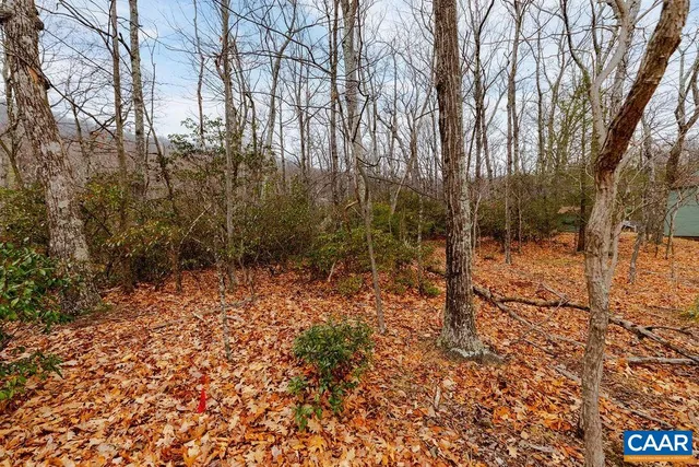 a view of a yard with trees