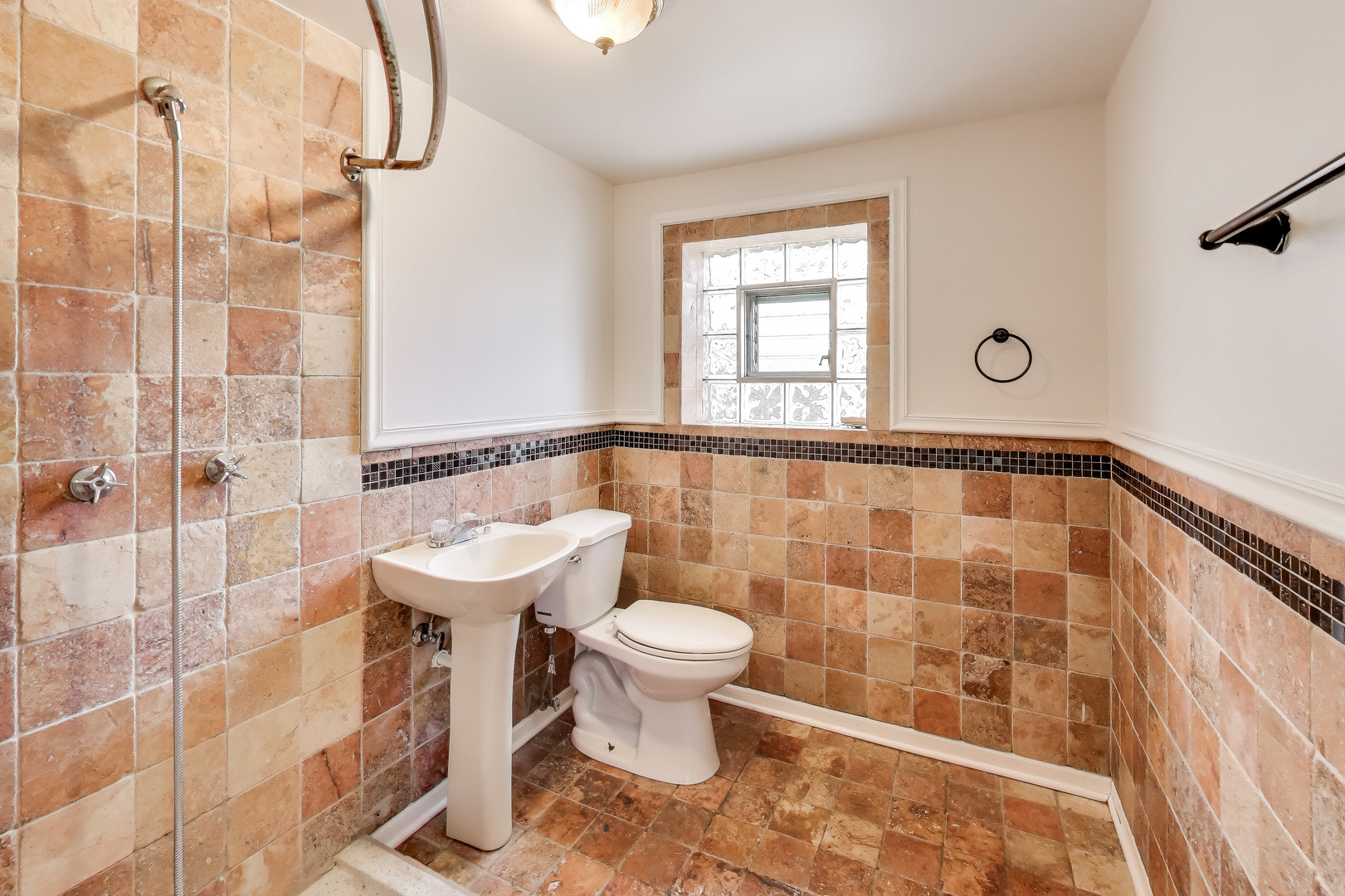 1006 Devon Avenue Park Ridge, IL 60068 - Photo 28 of 38 a bathroom with a sink a toilet and shower