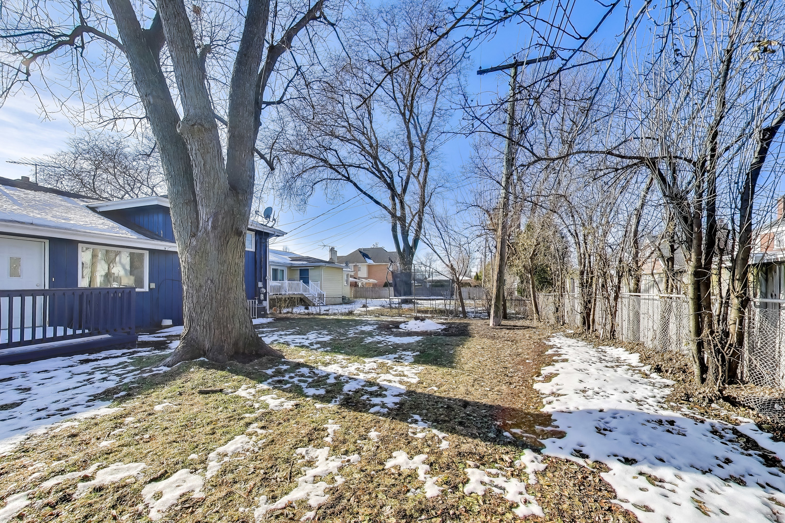 1006 Devon Avenue Park Ridge, IL 60068 - Photo 38 of 38 a view of a yard with snow on the tree