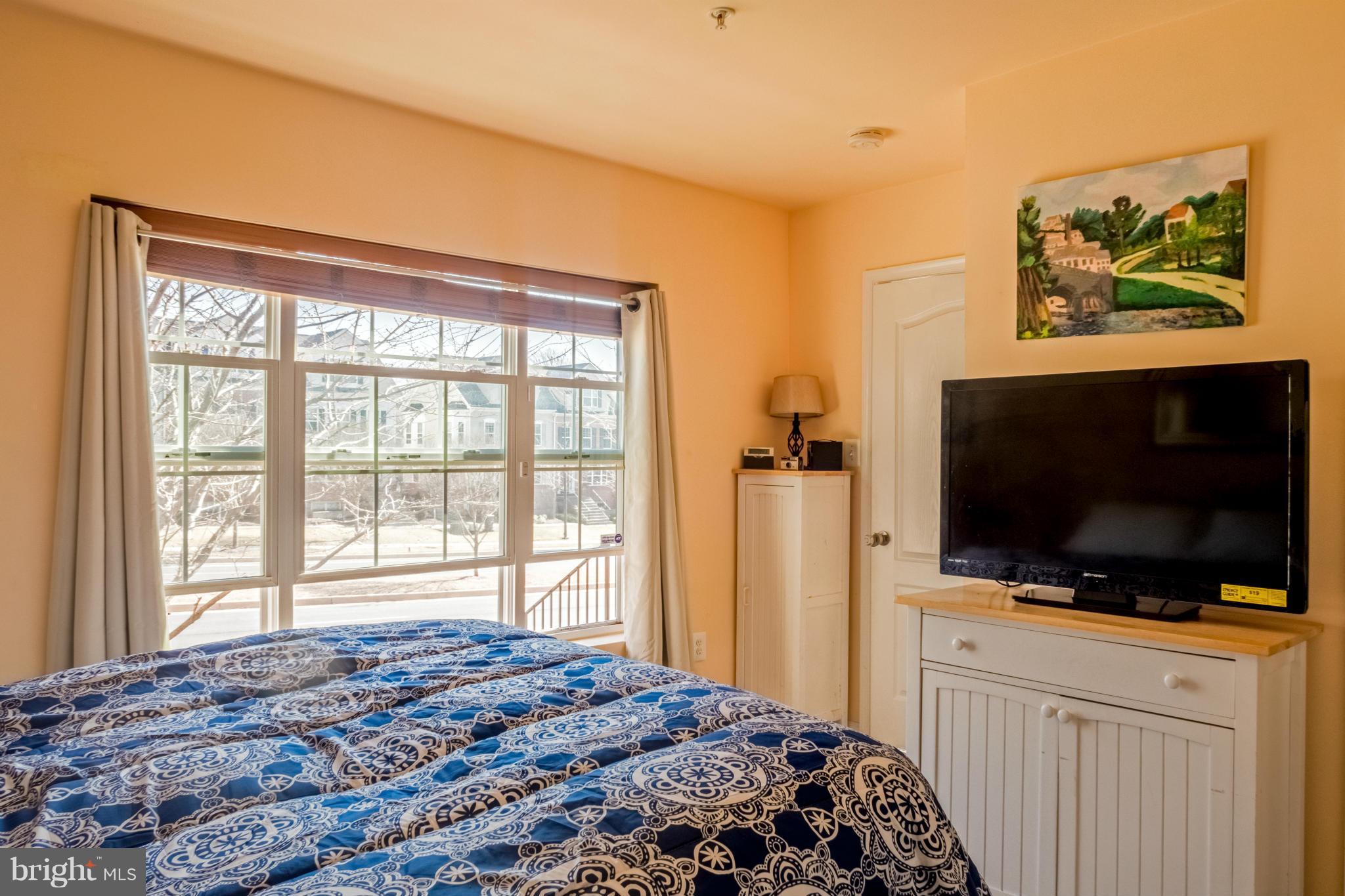 23026 Stringtown Road, Unit 2135 Clarksburg, MD 20871 - Photo 4 of 14 Bedroom (Master)