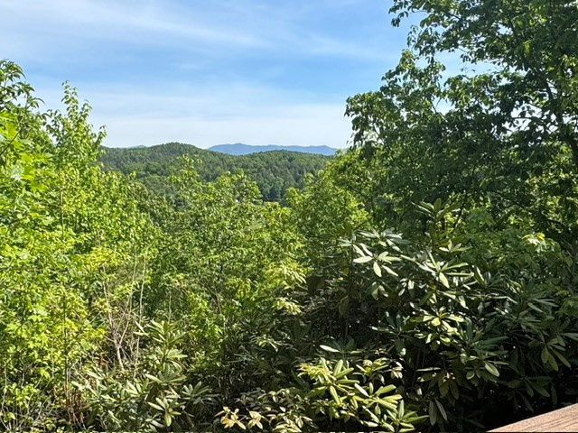 385 Vengeance Creek Road Marble, NC 28905 - Photo 5 of 19