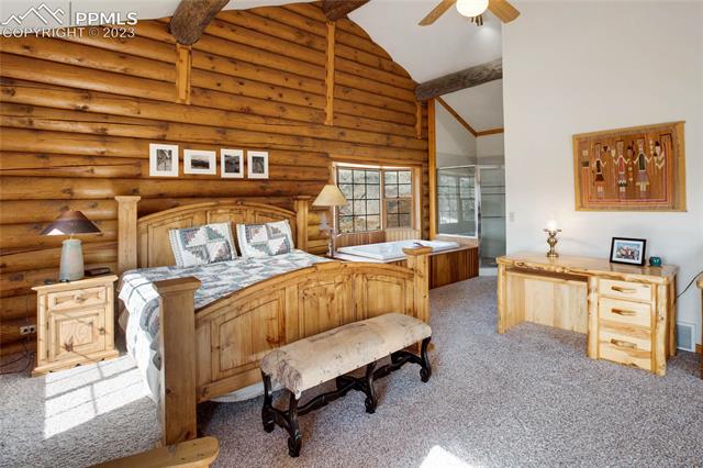 875 Old Ranch Road Florissant, CO 80816 - Photo 20 of 33