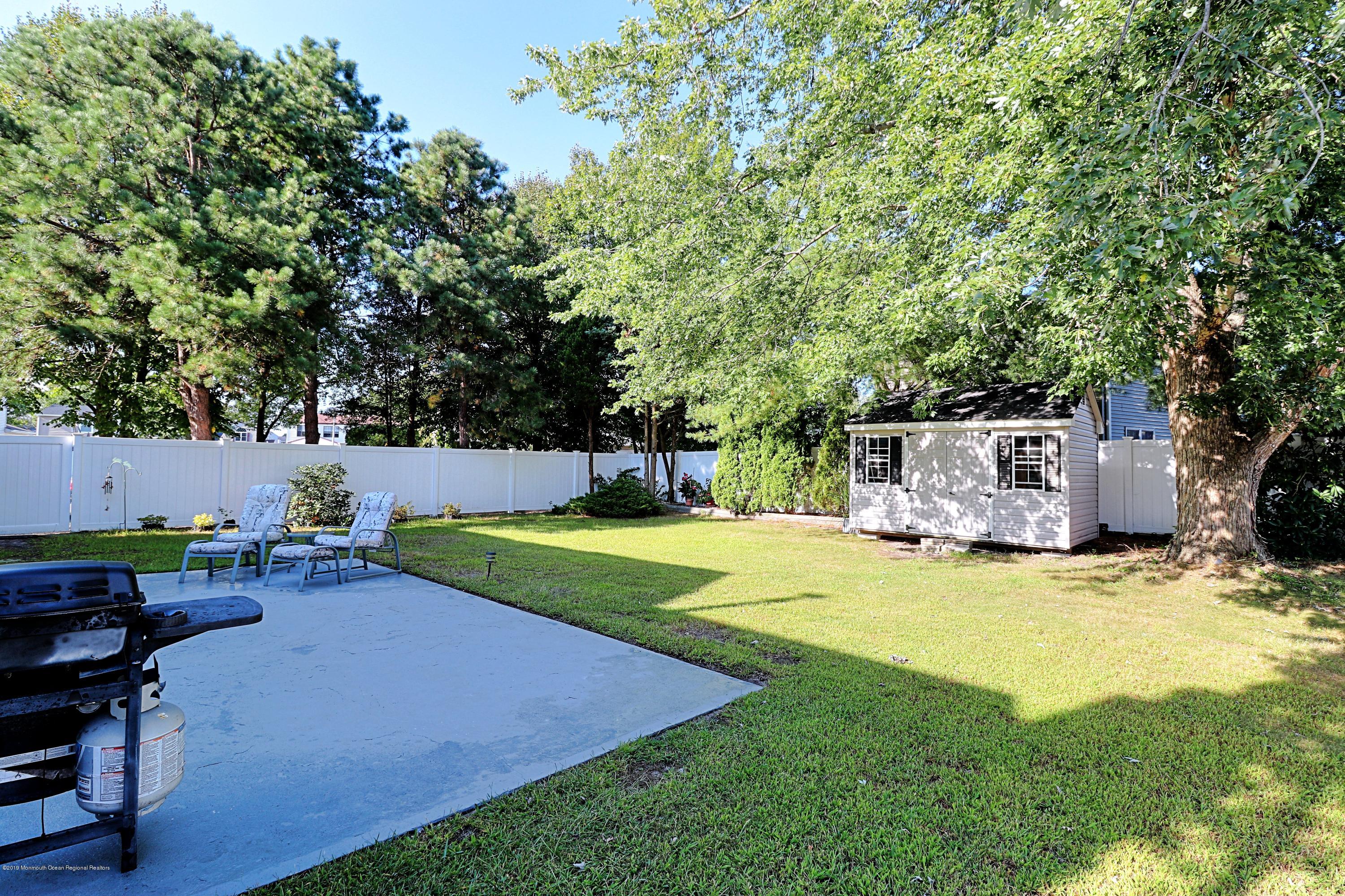 backyard_1