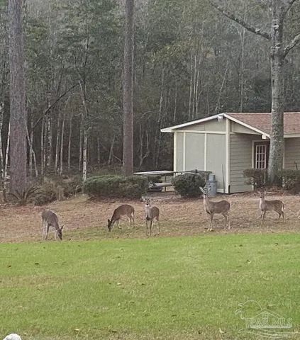 a view of swimming pool from a patio
