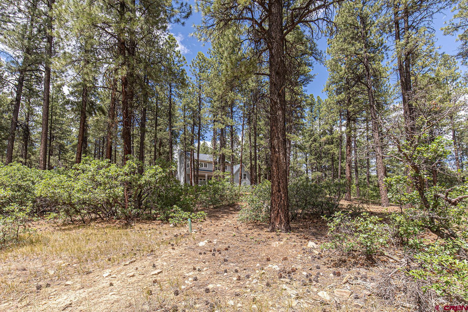 383 The Eagle Pass Durango, CO 81301 - Photo 32 of 37 a view of a forest with trees