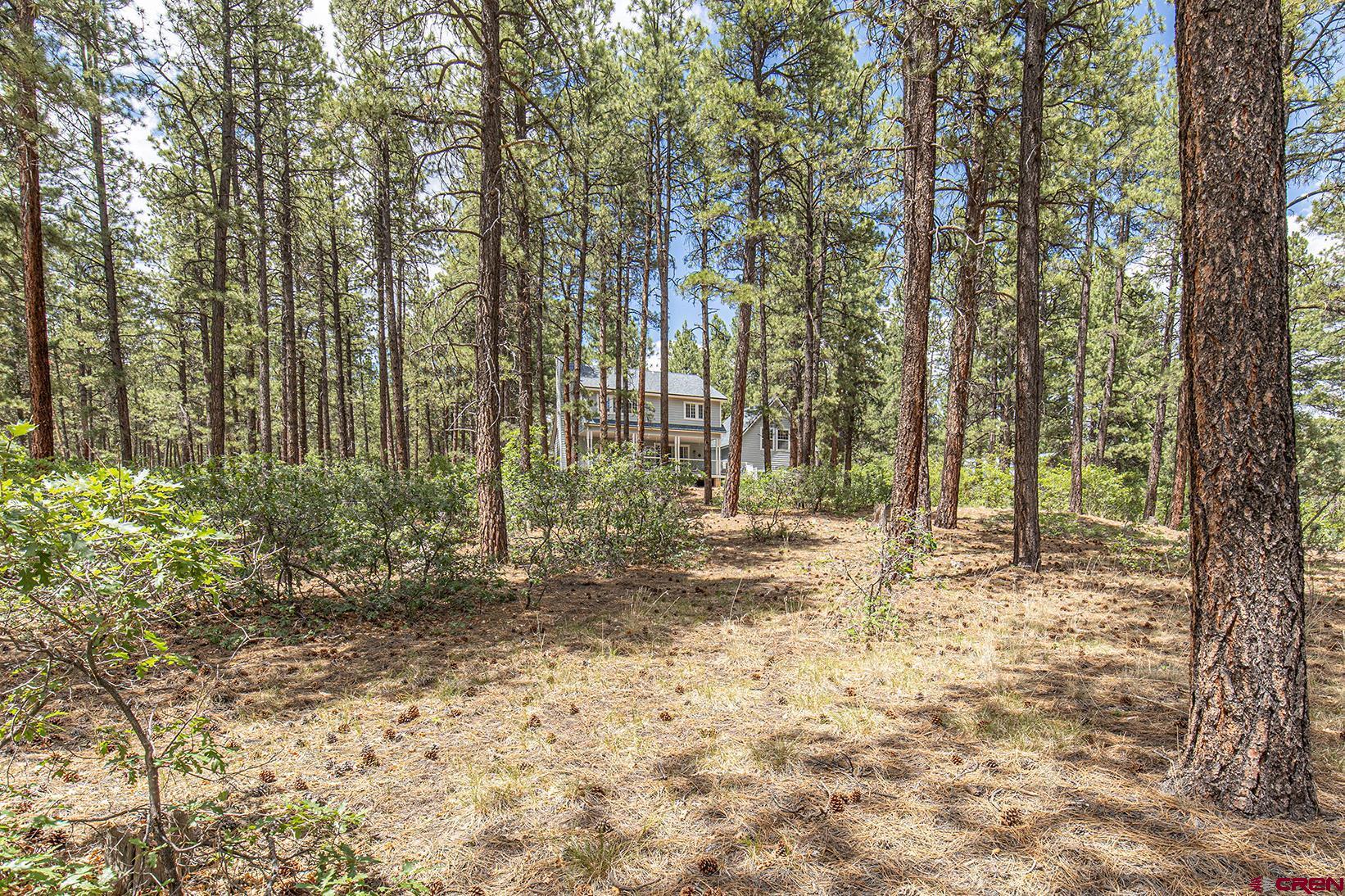 383 The Eagle Pass Durango, CO 81301 - Photo 33 of 37 a view of a yard with plants and trees