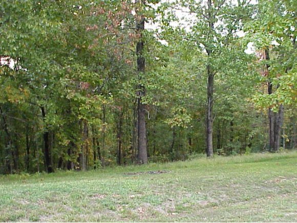 Lot 16 September Falls Reeds Spring, MO 65737 - Photo 1 of 1 Primary Photo