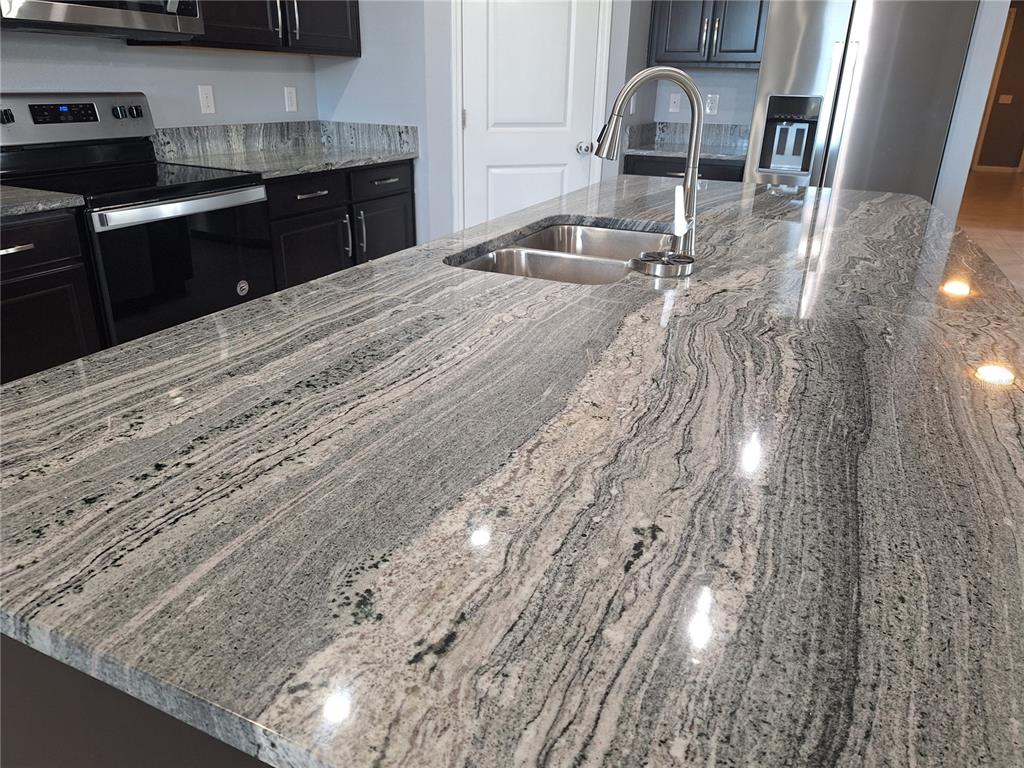 13483 Golden Lime Ave Spring Hill Spring Hill, FL 34609 - Photo 5 of 92 a kitchen with a sink and cabinets