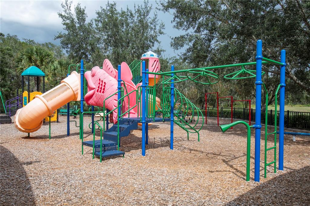 13483 Golden Lime Ave Spring Hill Spring Hill, FL 34609 - Photo 89 of 92