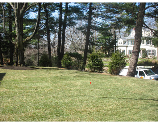 145 Collins Road Newton, MA 02468 - Photo 8 of 8 a backyard of a house with lots of green space