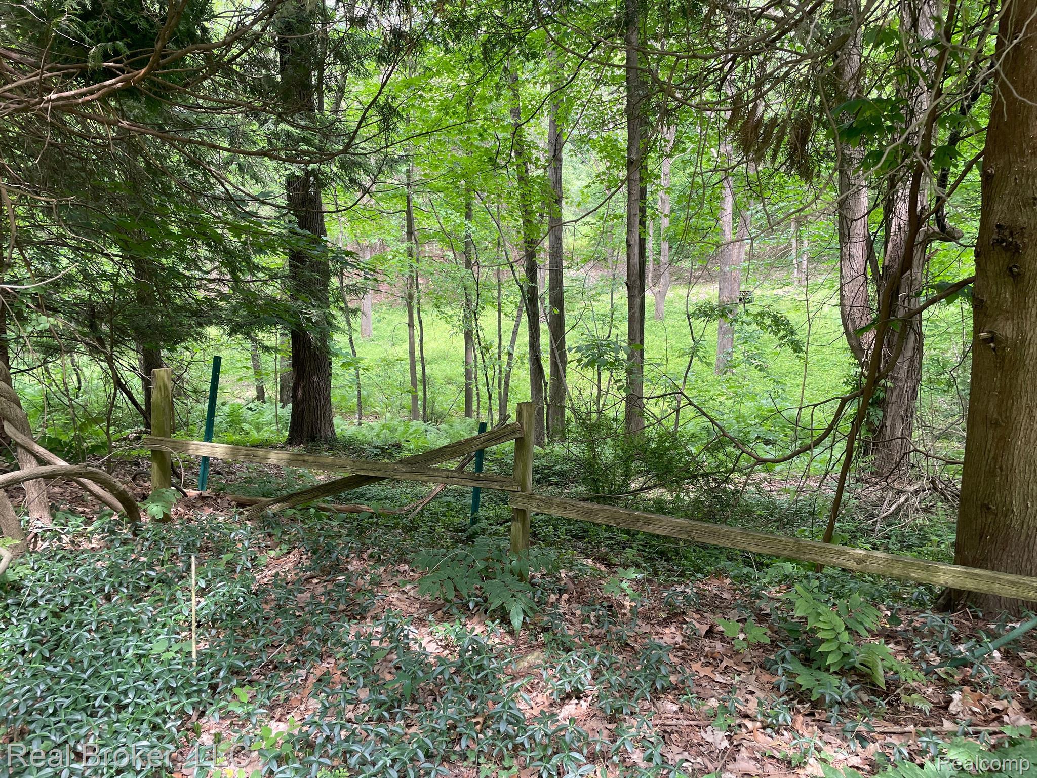 5465 Hadley Road Goodrich, MI 48438 - Photo 63 of 81 Gallery Image 63