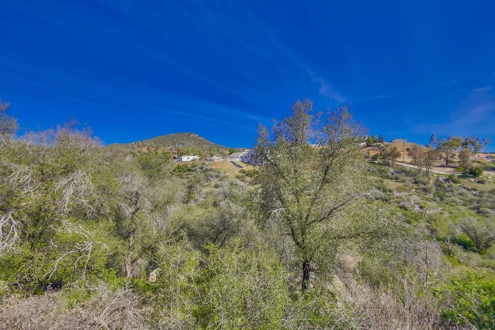 20595 Sycamore Springs Road Jamul, CA 91935 - Photo 21 of 22 Gallery Image 21