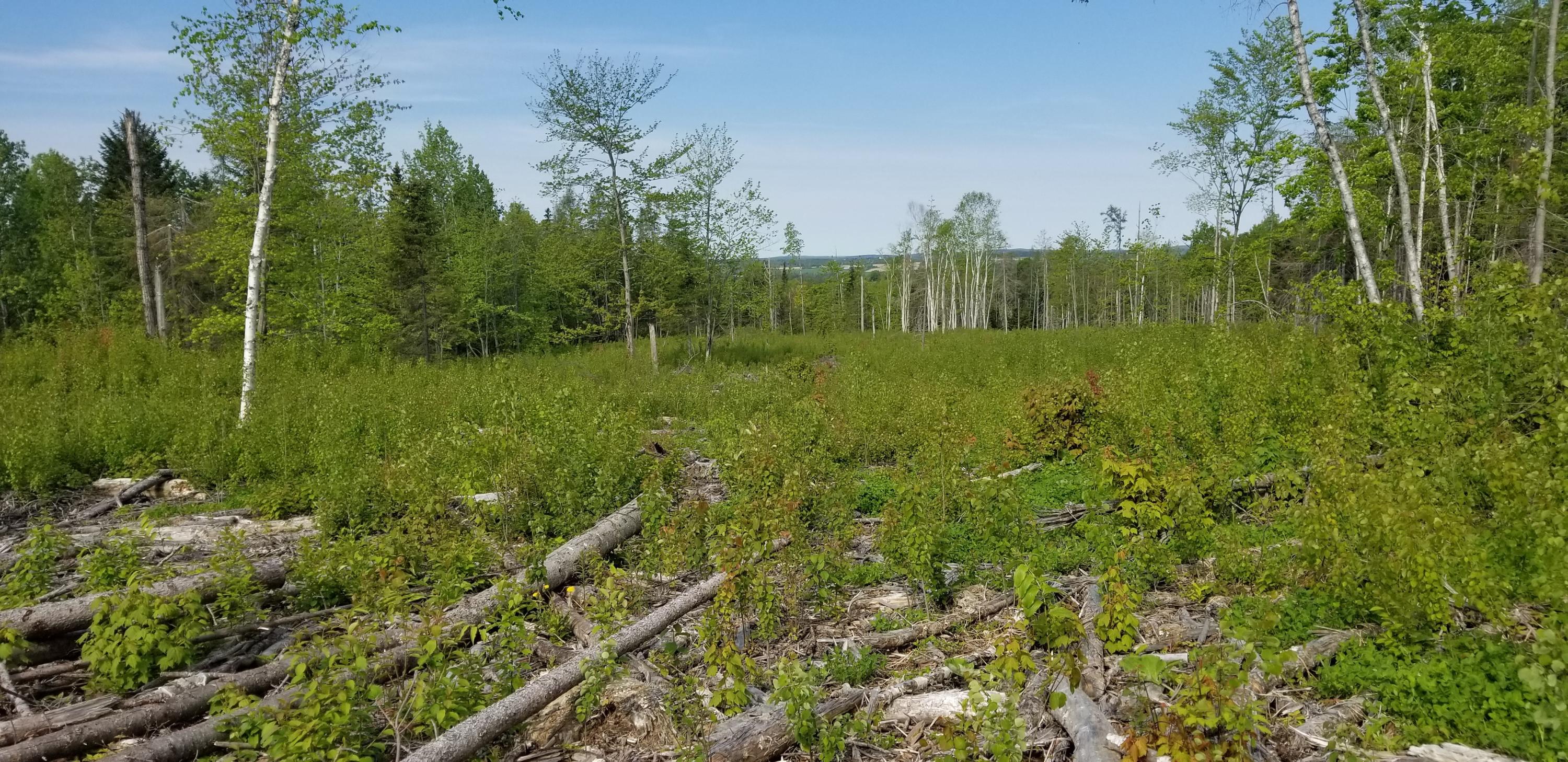 M21-l01b Sawyer Road Limestone, ME 04750 - Photo 1 of 3 56 more 009