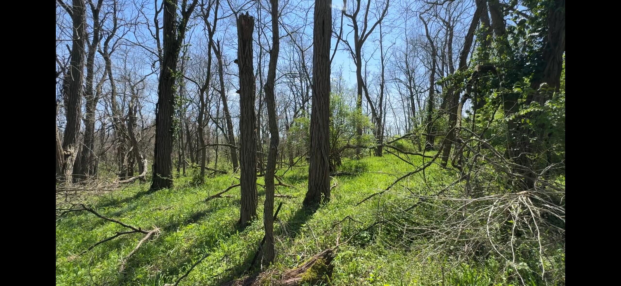 8154 Crowl Road De Graff, OH 43318 - Photo 17 of 34 IMG_4473