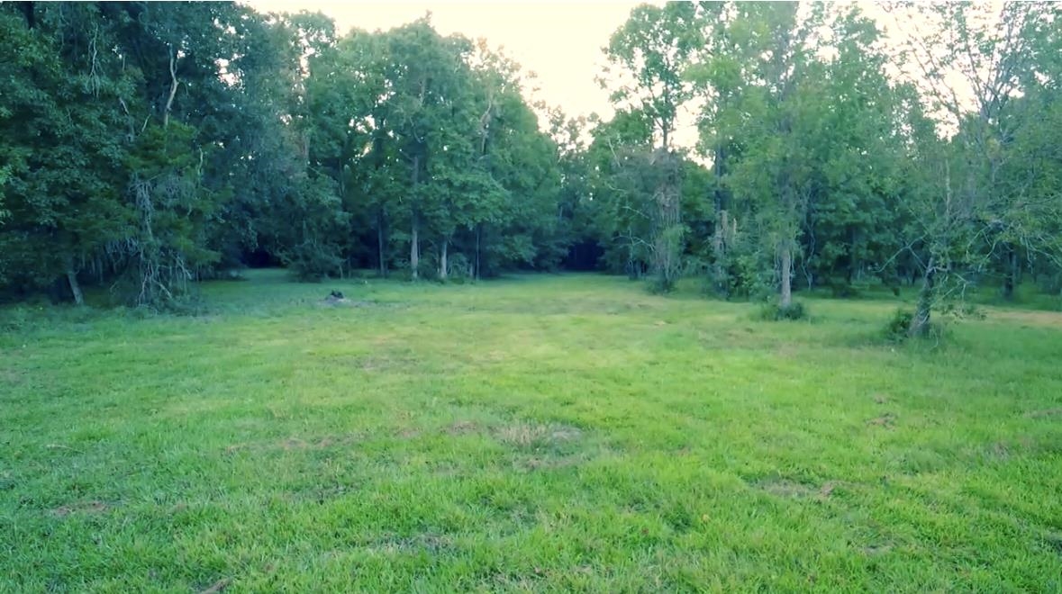 15546 Sour Lake Road Beaumont, TX 77713 - Photo 6 of 35