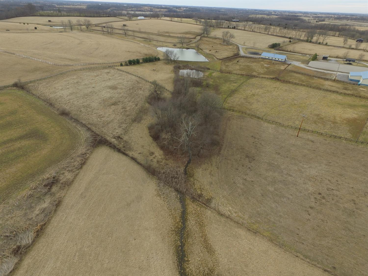 357 Cook Road Cynthiana, KY 41031 - Photo 4 of 16 Photo 4