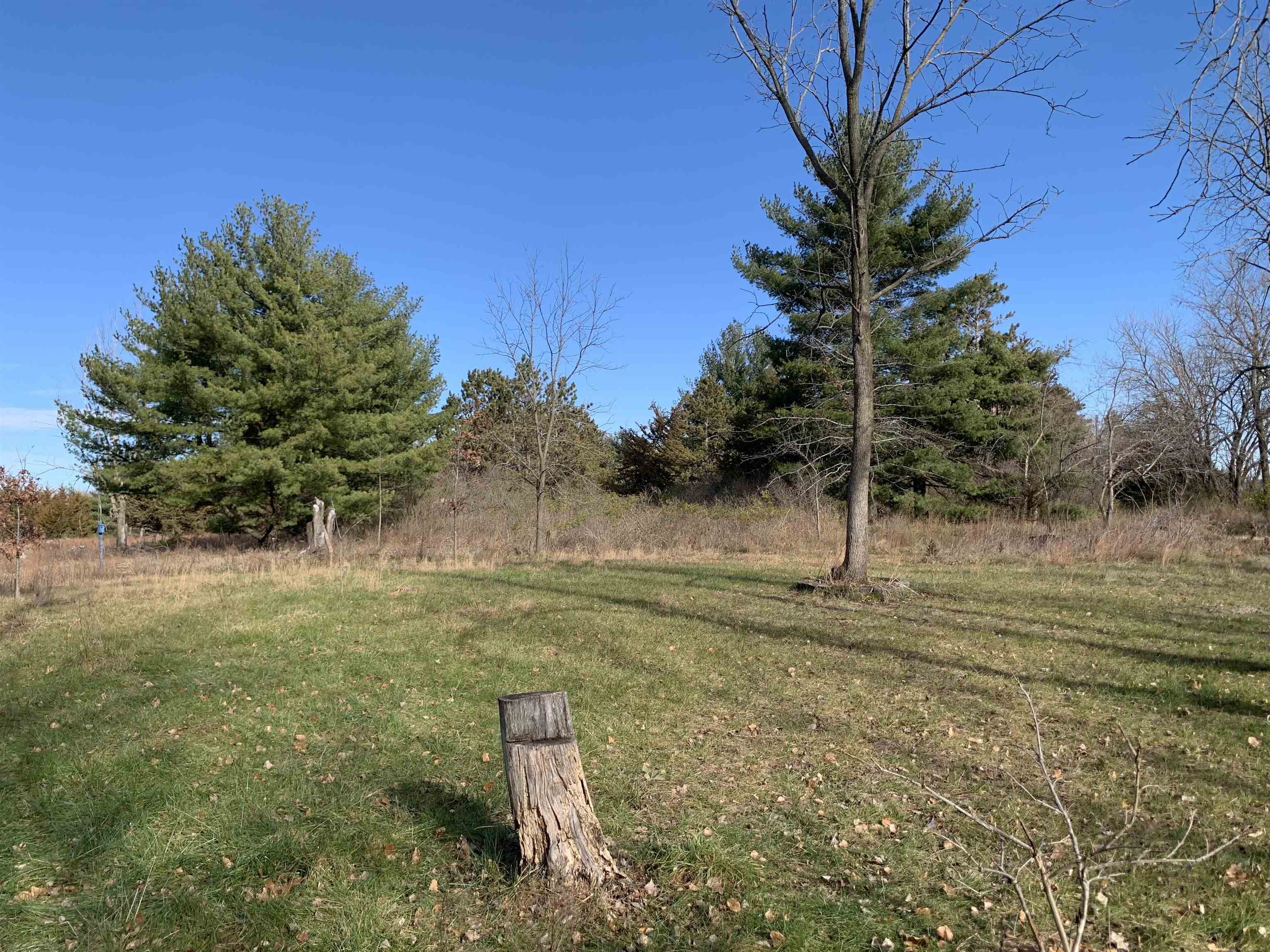 Tbd Waller Road Fulton, IL 61252 - Photo 1 of 7 a view of a yard with a tree