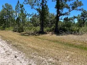 a view of outdoor space with trees all around